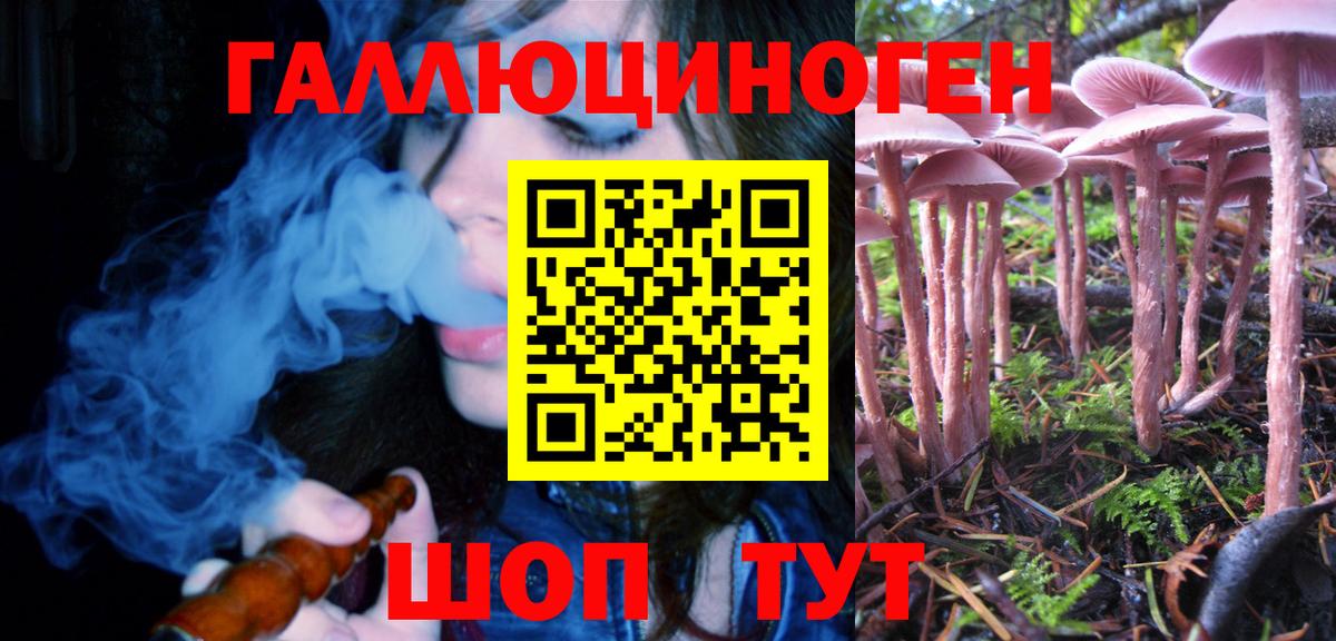 закладка  Псилоцибиновые грибы Magic Shrooms  Галлюциногенные грибы GOLDEN TEACHER  Вход с VPN  Лесосибирск 