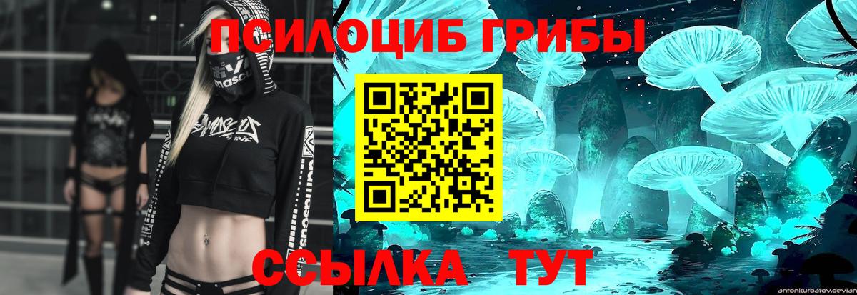 Псилоцибиновые грибы прущие грибы Лесосибирск